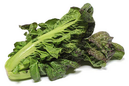 f:id:lexapro:20181025132111j:plain f:id:lexapro:20181025132111j:plain