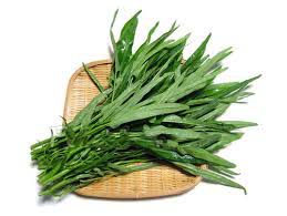 f:id:lexapro:20181025132431j:plain f:id:lexapro:20181025132431j:plain