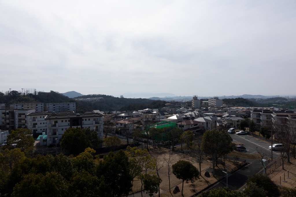 f:id:lexapro:20190226102303j:plain