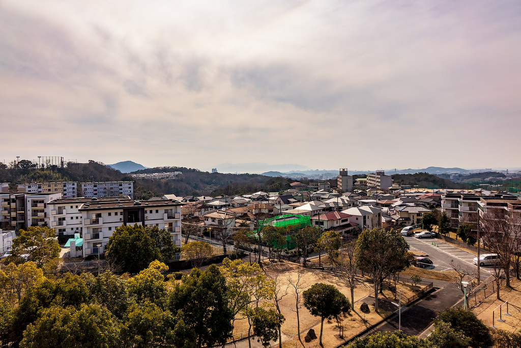 f:id:lexapro:20190226102723j:plain
