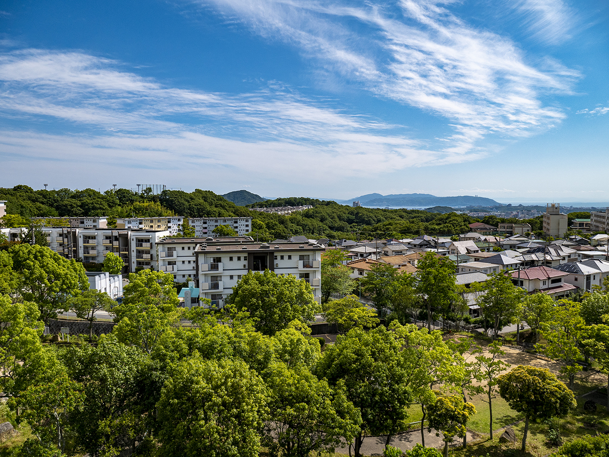 f:id:lexapro:20190617151154j:plain