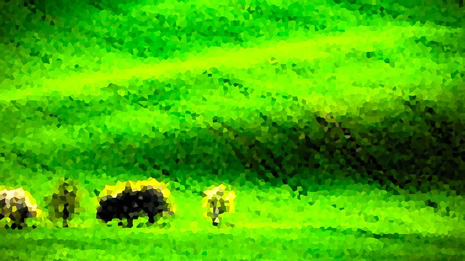 f:id:lexapro:20200724174747j:plain