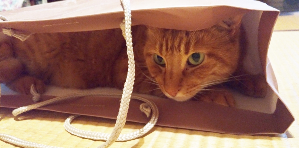 f:id:ley-line:20171106184209j:plain