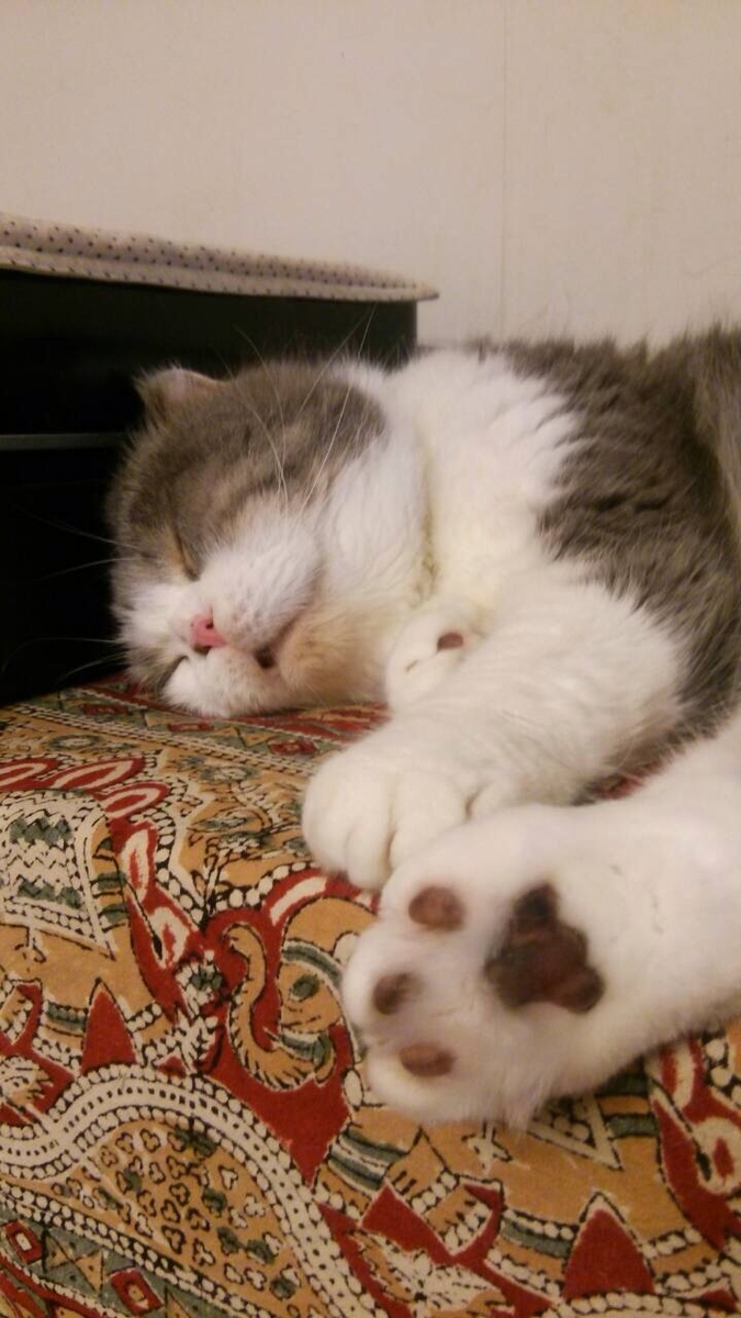 f:id:lgcginger:20210425143349j:plain