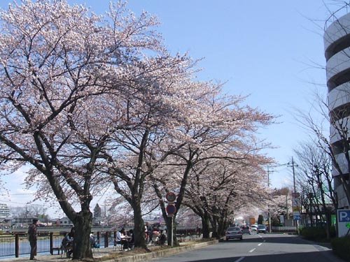f:id:lgelee23:20120409122939j:image:w360