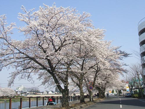 f:id:lgelee23:20120409165144j:image:w360