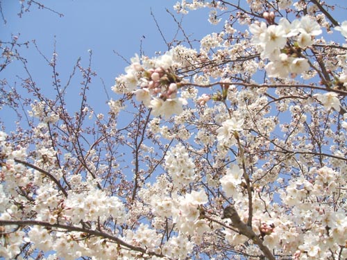 f:id:lgelee23:20120409171252j:image:w360
