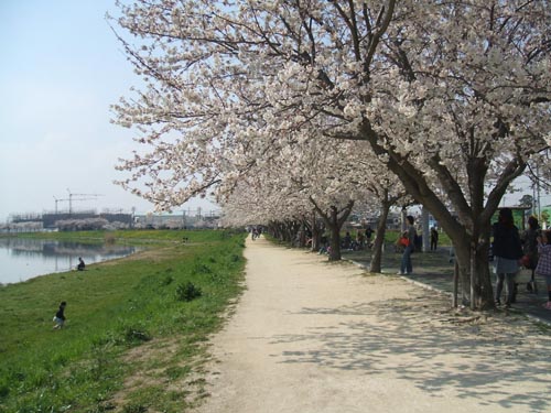 f:id:lgelee23:20120409171253j:image:w360
