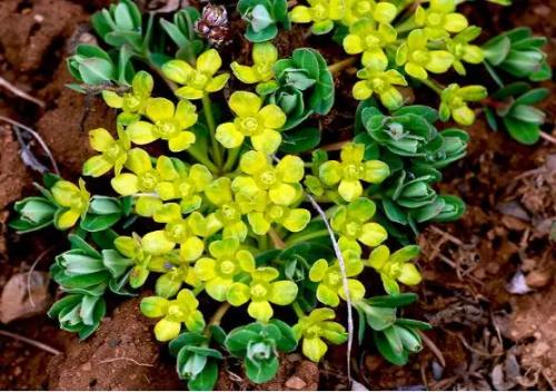 f:id:li-hari:20180507183039p:plain