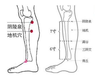 f:id:li-hari:20180706165004p:plain