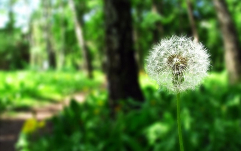 f:id:li-hari:20180806231733j:plain f:id:li-hari:20180806231733j:plain