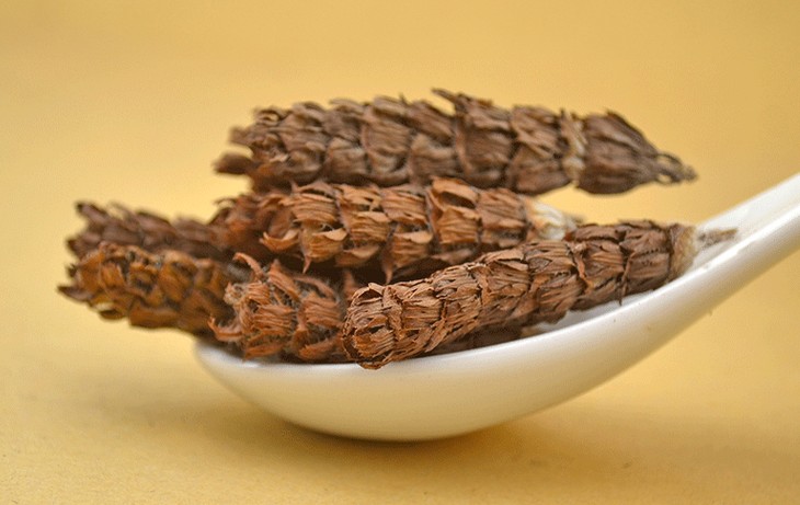 夏枯草（かごそう）
