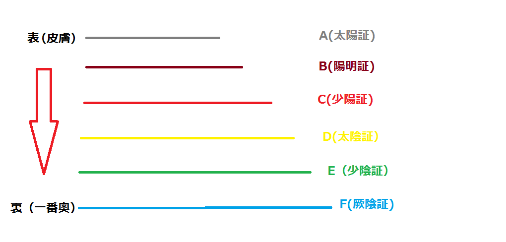 『傷寒雑病論』の偉大な理論：六経弁証