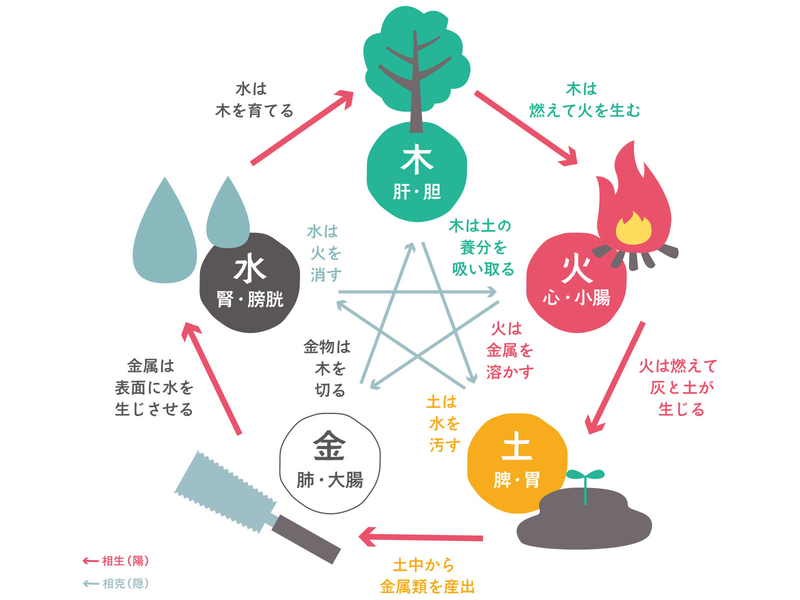 中医学の核:陰陽五行論