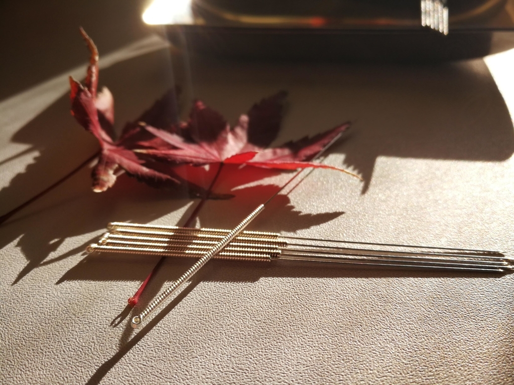 f:id:li-hari:20190126141309j:plain f:id:li-hari:20190126141309j:plain