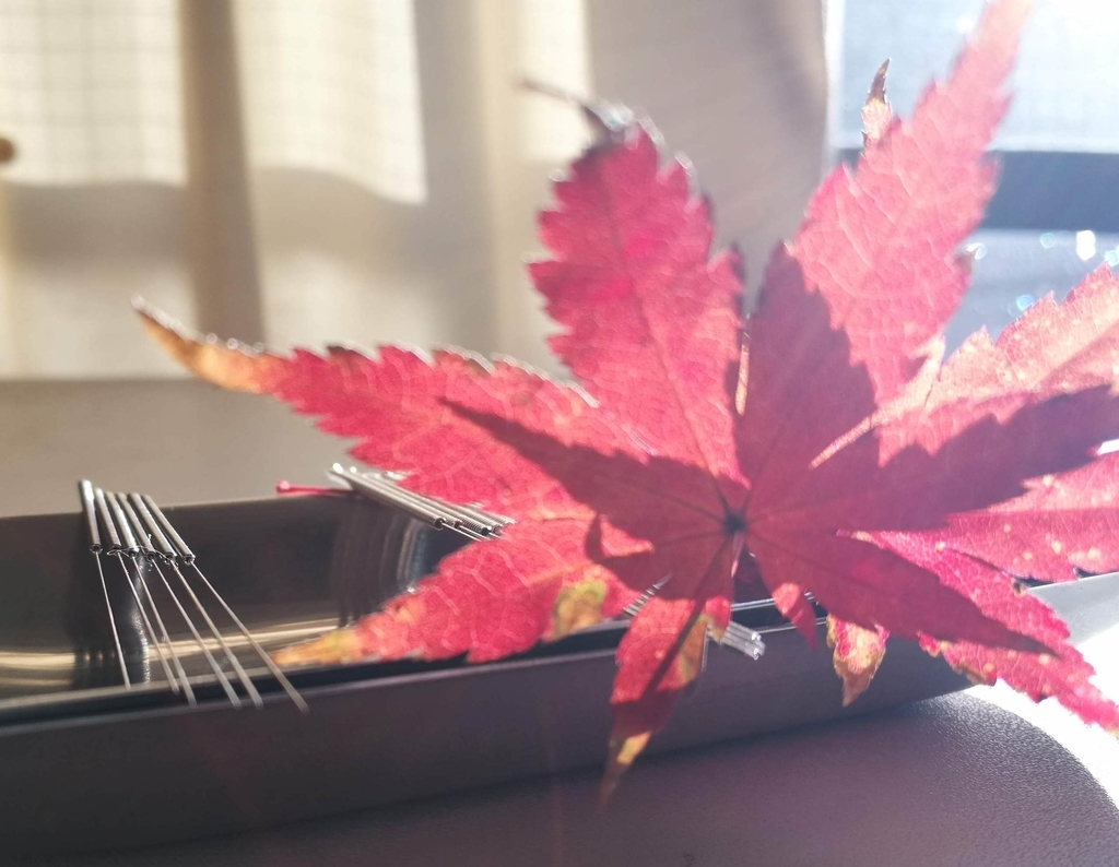 鍼の画像