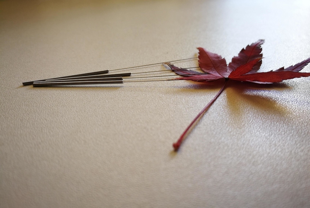鍼の画像