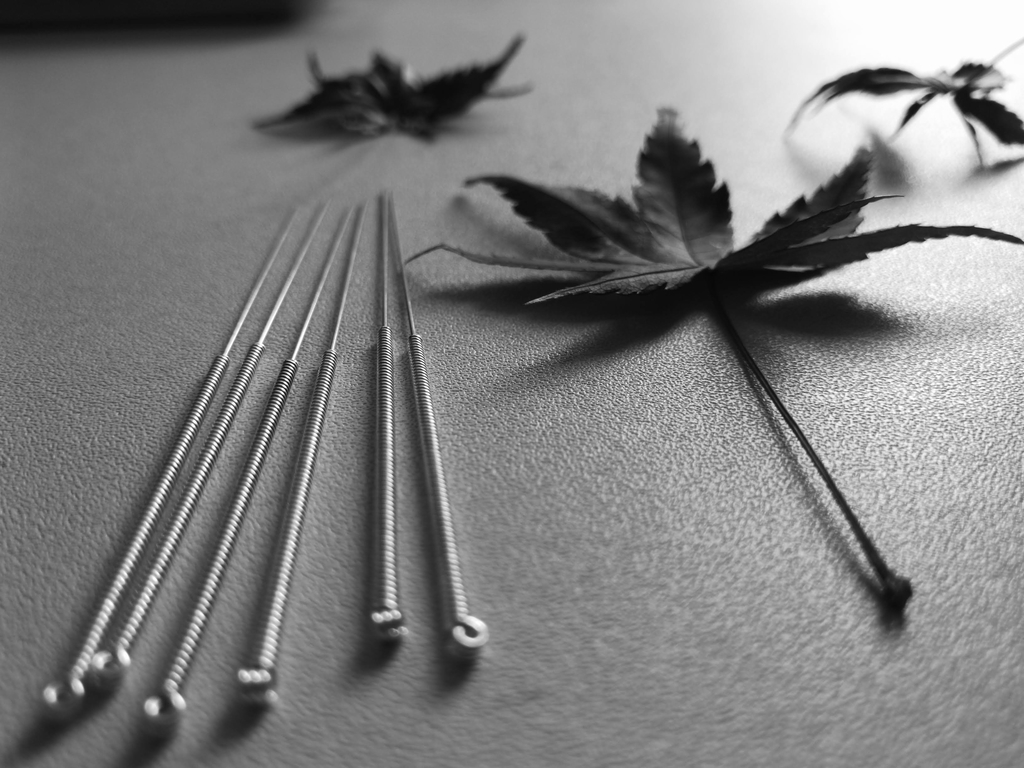 鍼の画像