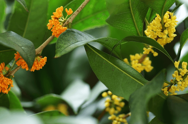 https://cdn-ak.f.st-hatena.com/images/fotolife/l/li-hari/20190510/20190510183400.png