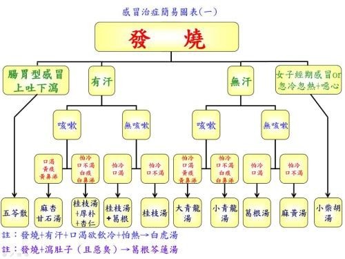 風邪のときの漢方を分別する方法
