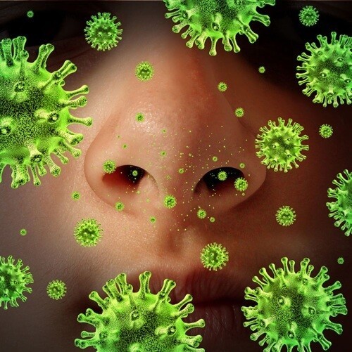 風邪はウィルスが原因、細菌ではない。だから、抗生物質は効かないのだ!