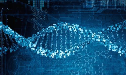正常な細胞はDNA変性で癌細胞に変わる