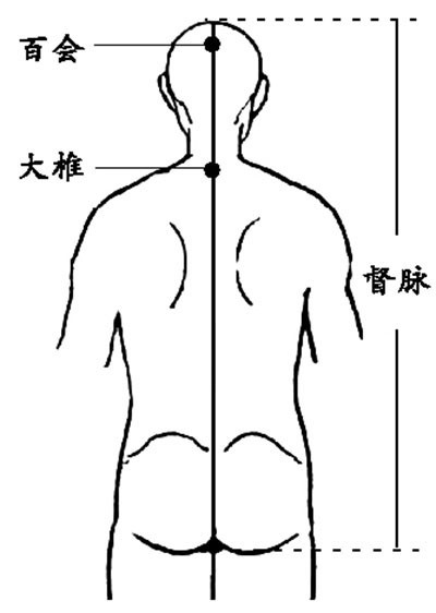 督脈：全身の陽気を統括するところ