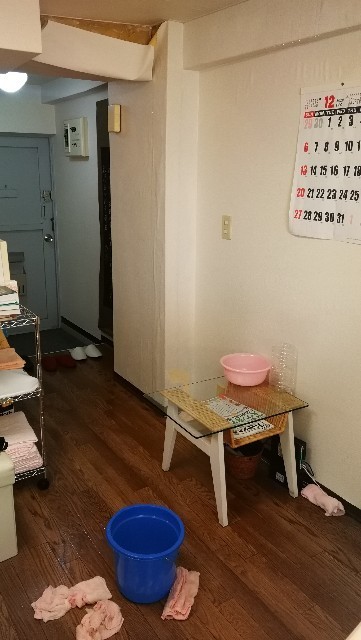 f:id:li-hari:20201223135614j:image