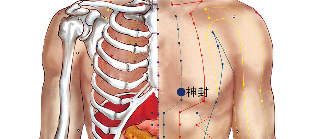 右胸が痛いのは、鍼を刺した瞬間から治り始めた