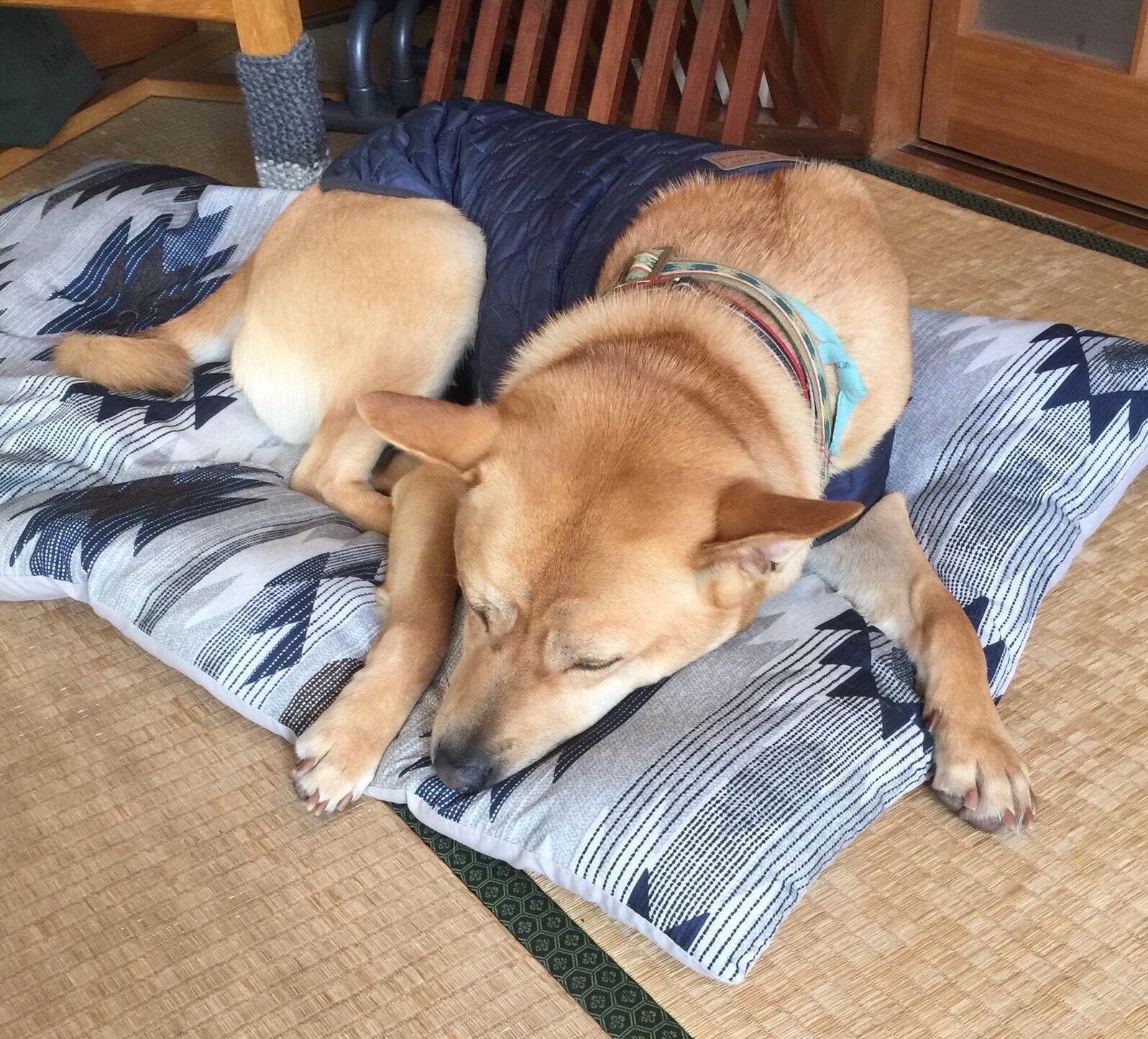 f:id:li-la:20180217213043j:image