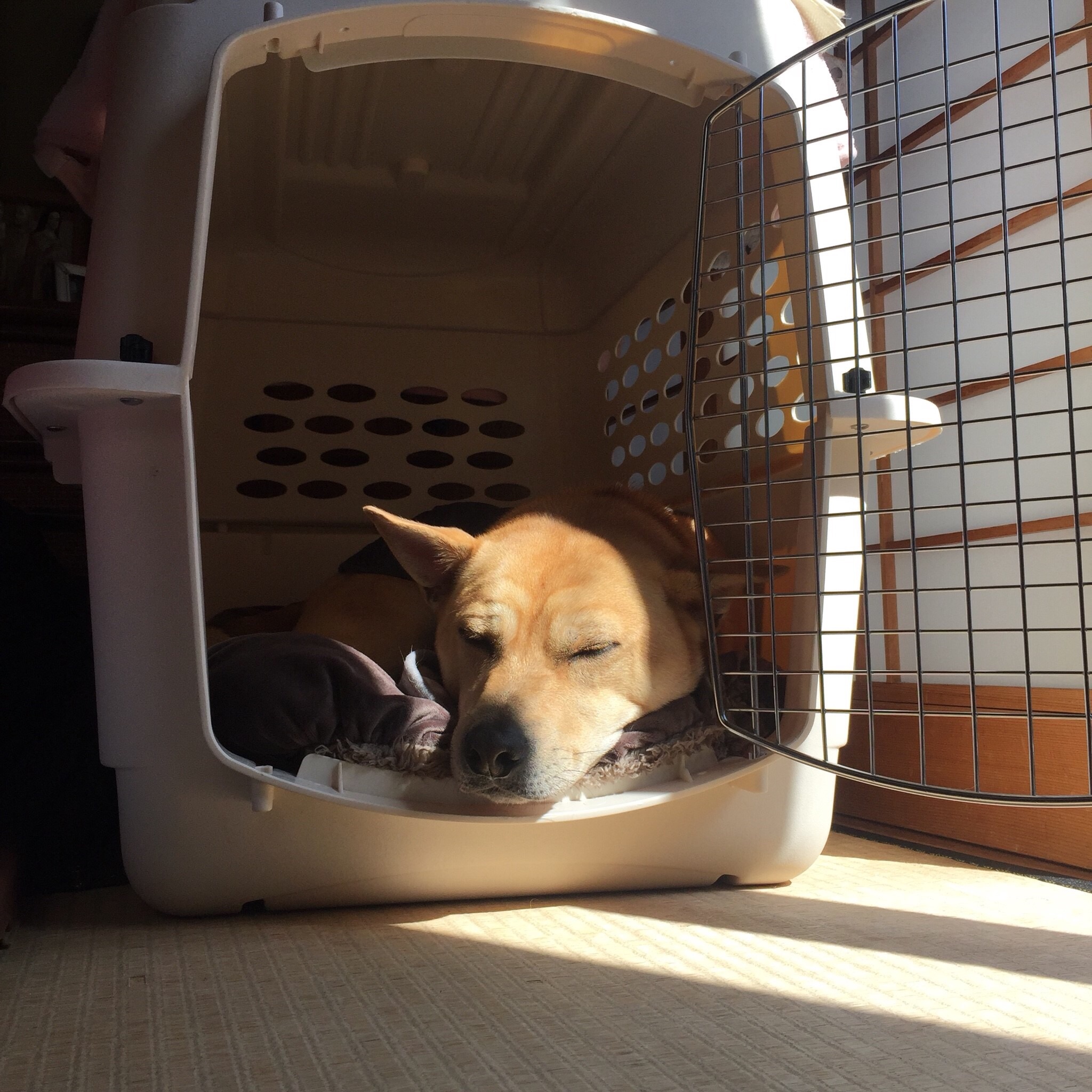 f:id:li-la:20180217213521j:image