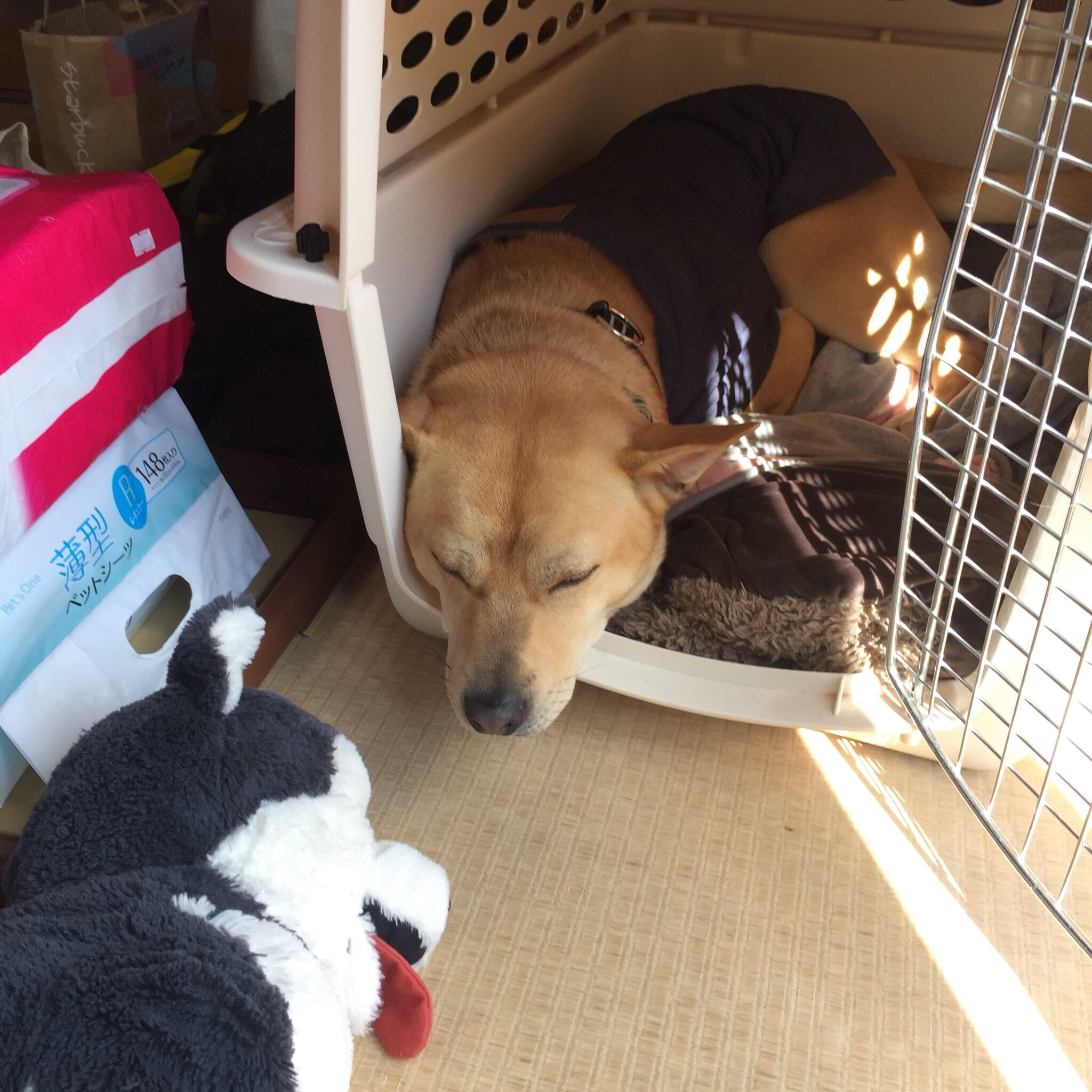 f:id:li-la:20180217214356j:image