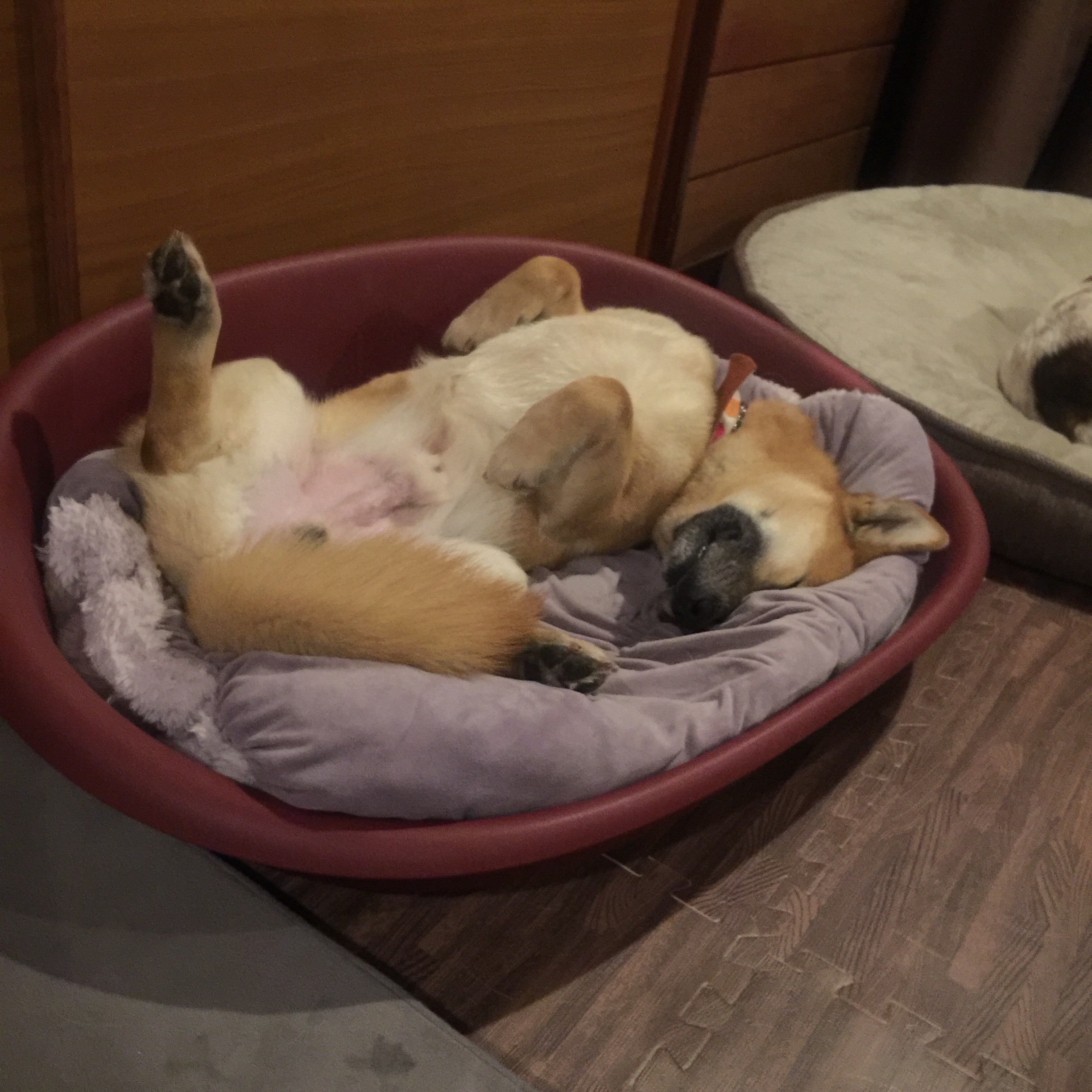 f:id:li-la:20180217222322j:image