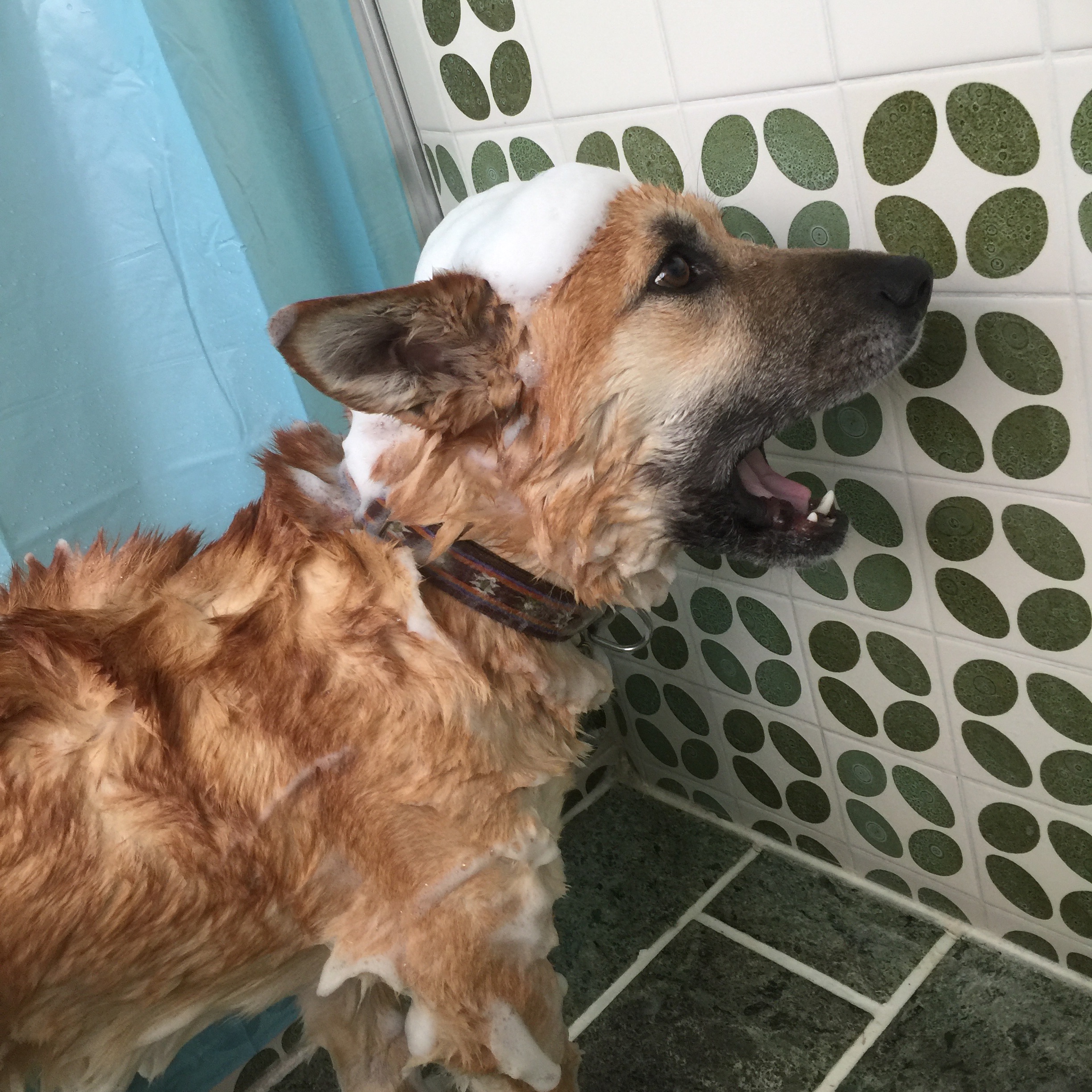 f:id:li-la:20180301212425j:image