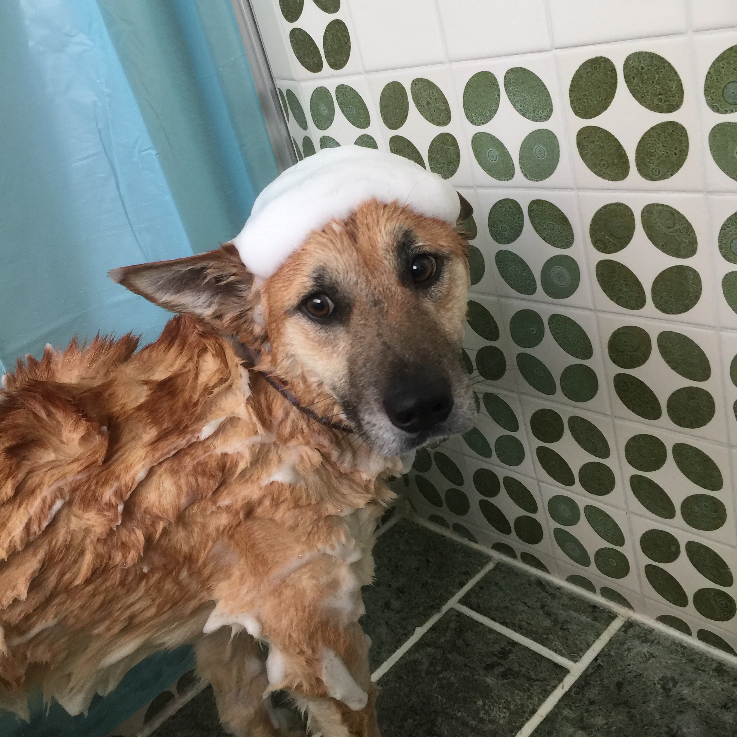 f:id:li-la:20180301212432j:image