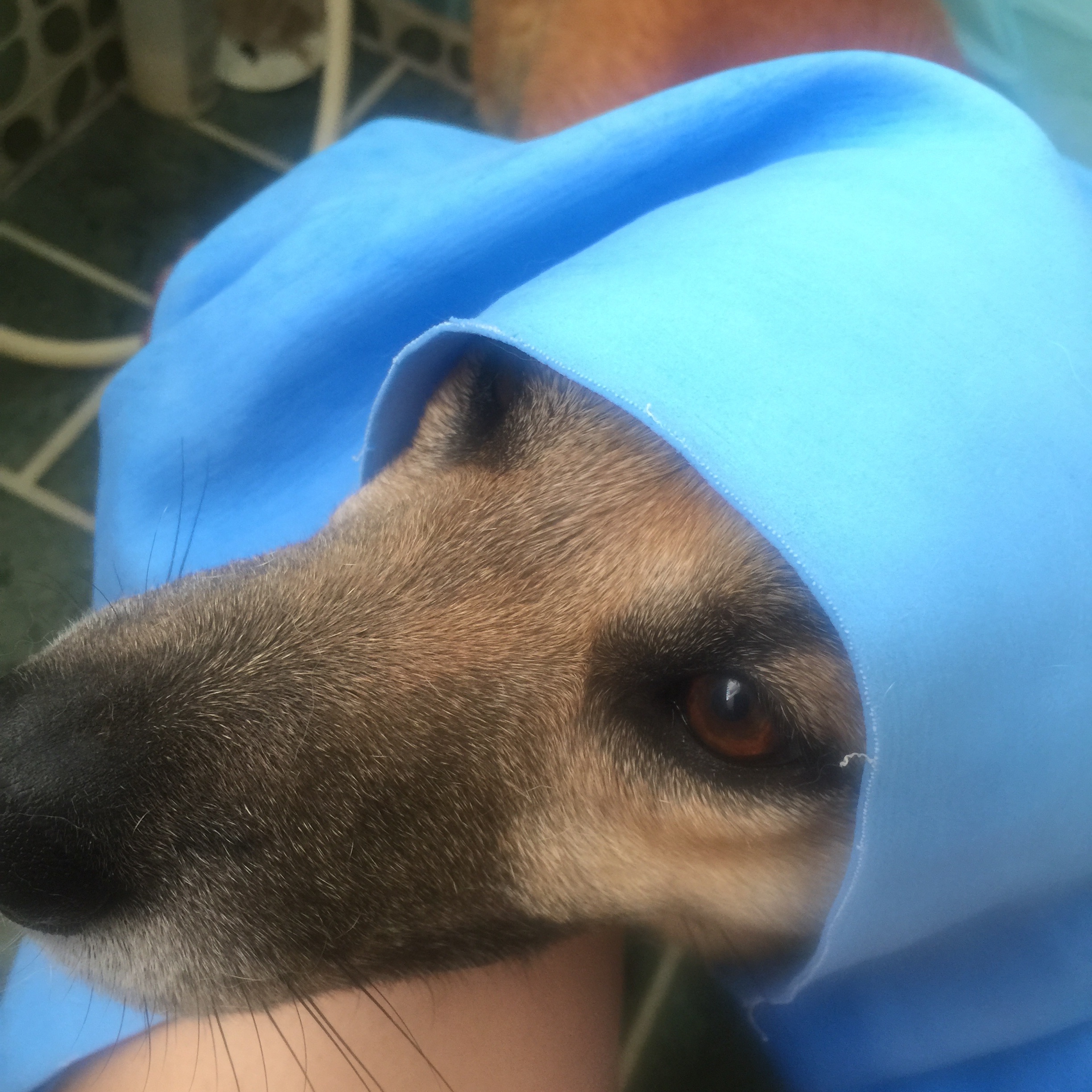 f:id:li-la:20180301212441j:image