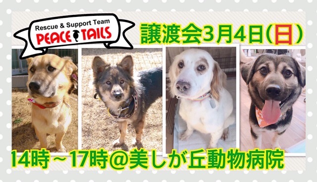 f:id:li-la:20180301215621j:image