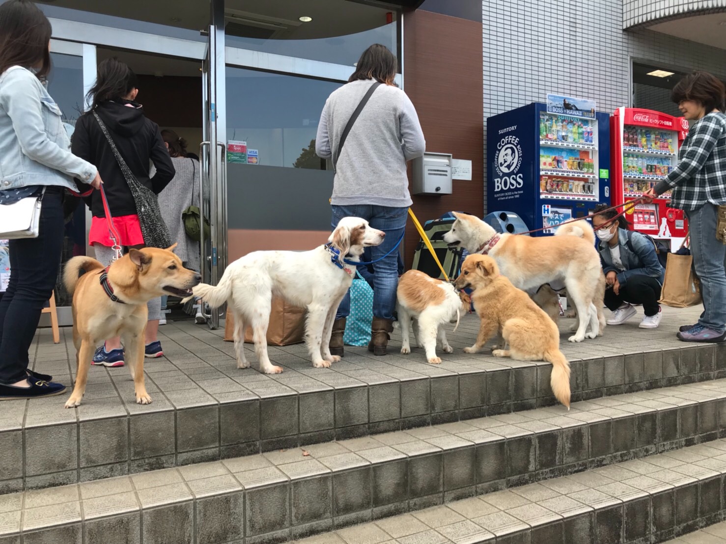 f:id:li-la:20180306102446j:image