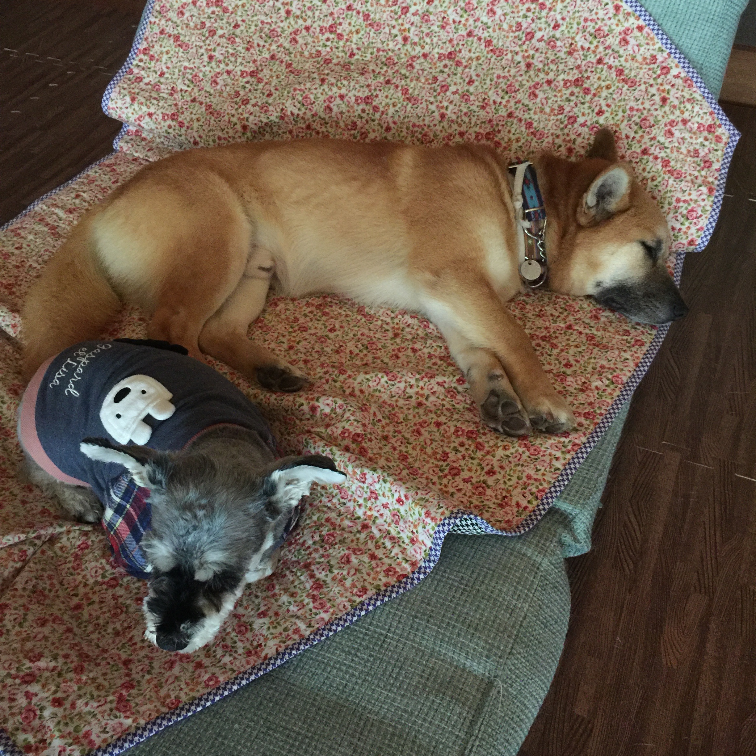 f:id:li-la:20180306104829j:image