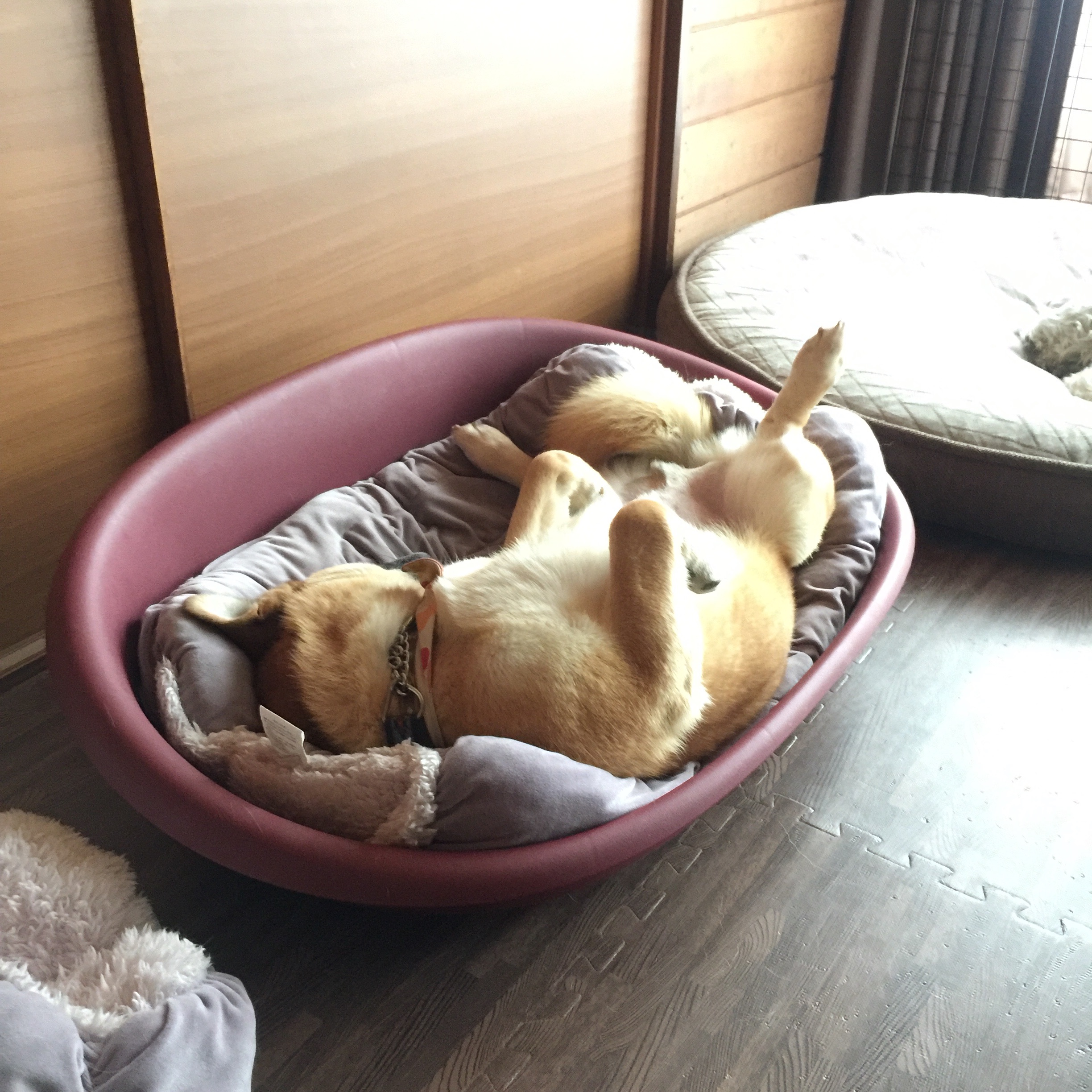 f:id:li-la:20180306111607j:image