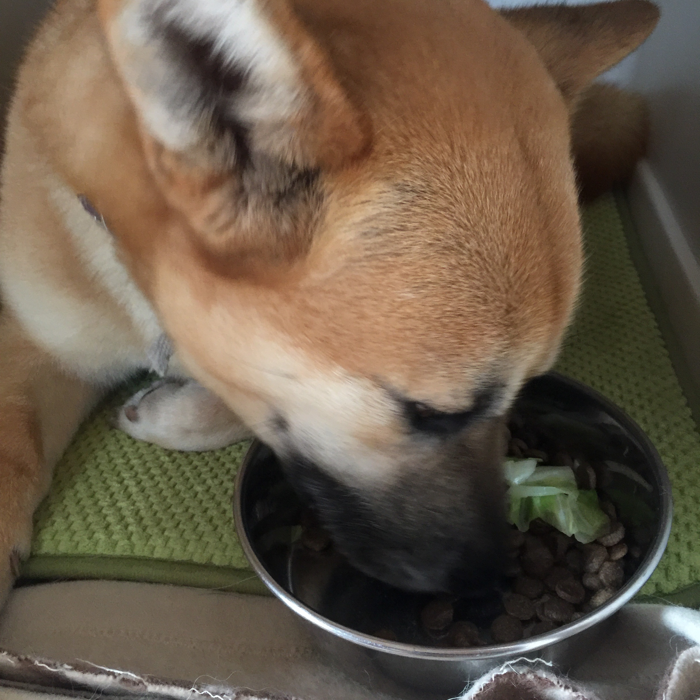 f:id:li-la:20180306111705j:image