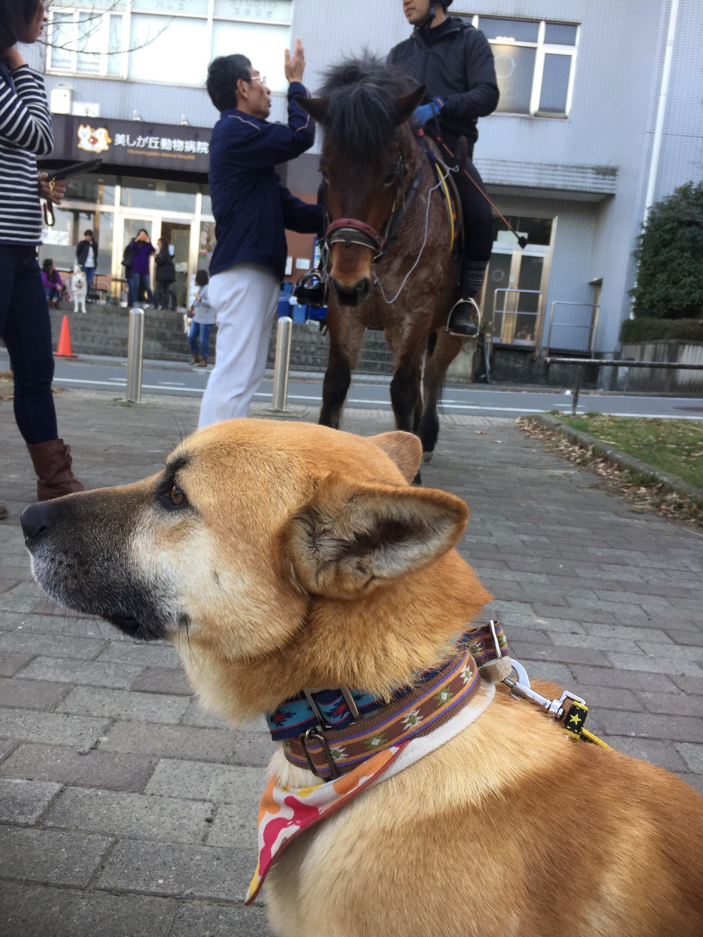 f:id:li-la:20180306112810j:image