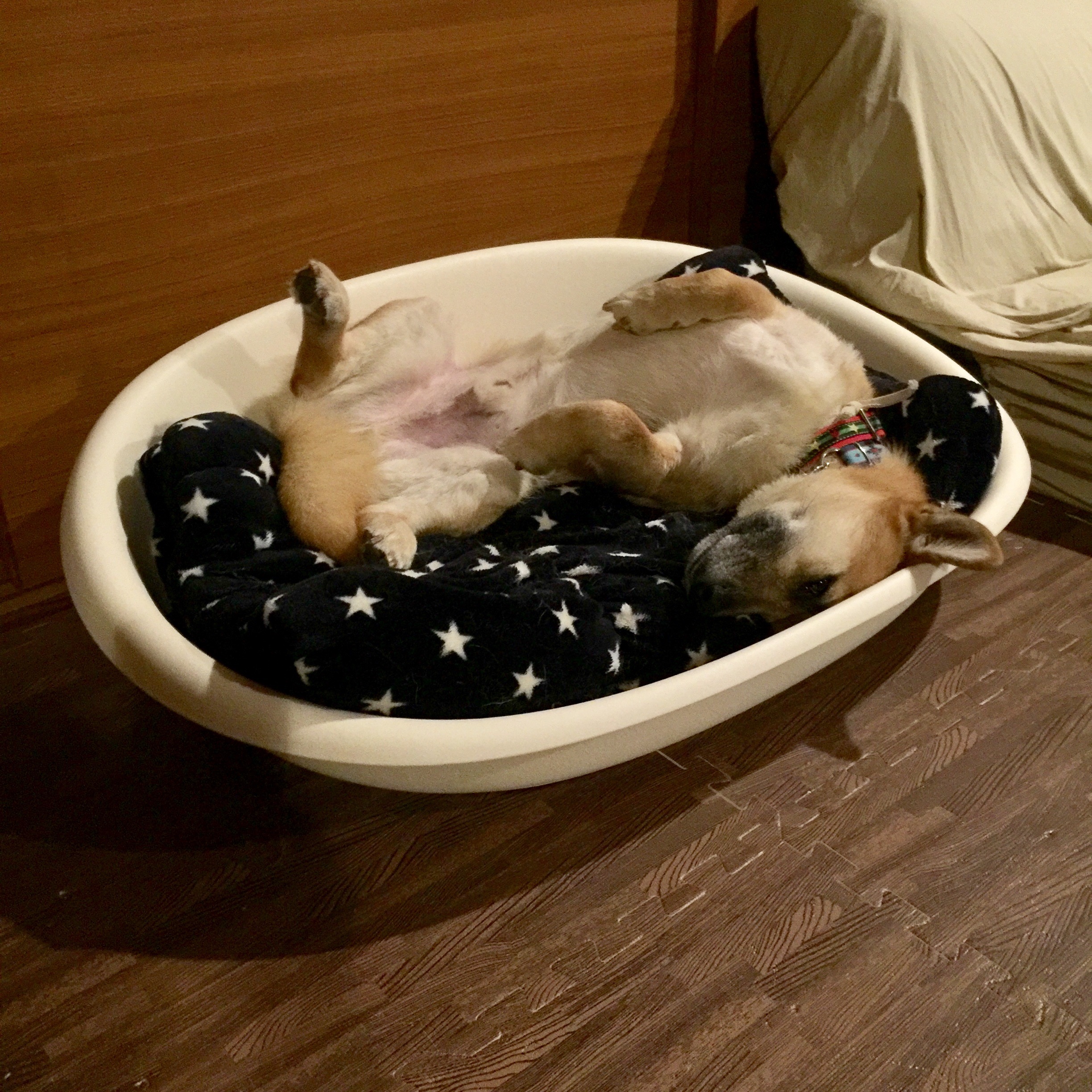 f:id:li-la:20180406004034j:image f:id:li-la:20180406004034j:image