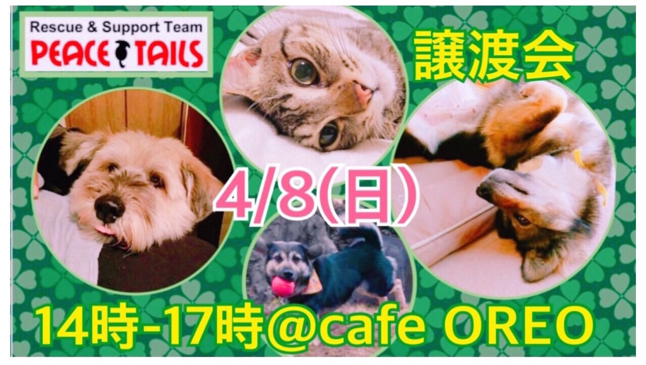 f:id:li-la:20180406171822j:image f:id:li-la:20180406171822j:image