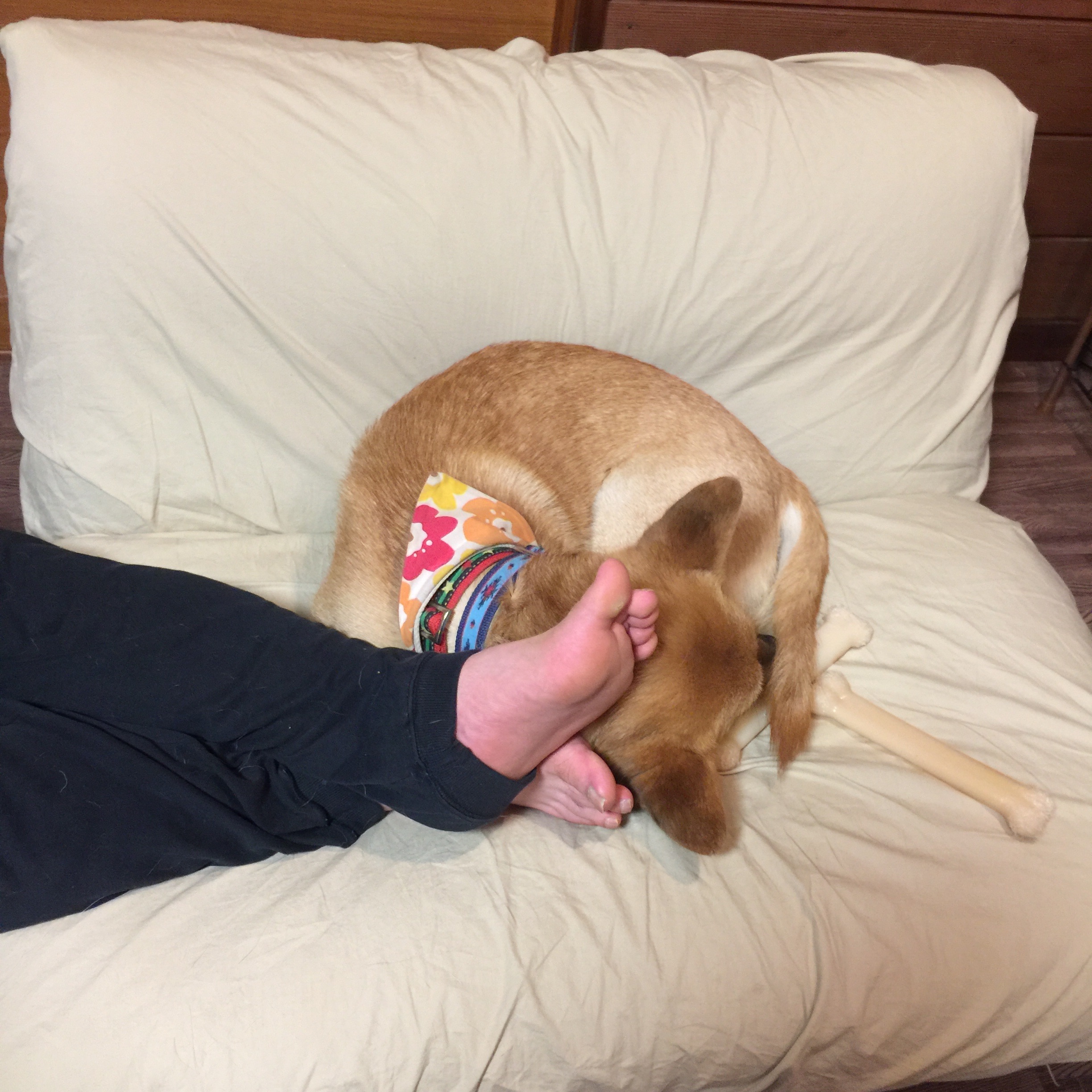 f:id:li-la:20180425234905j:image