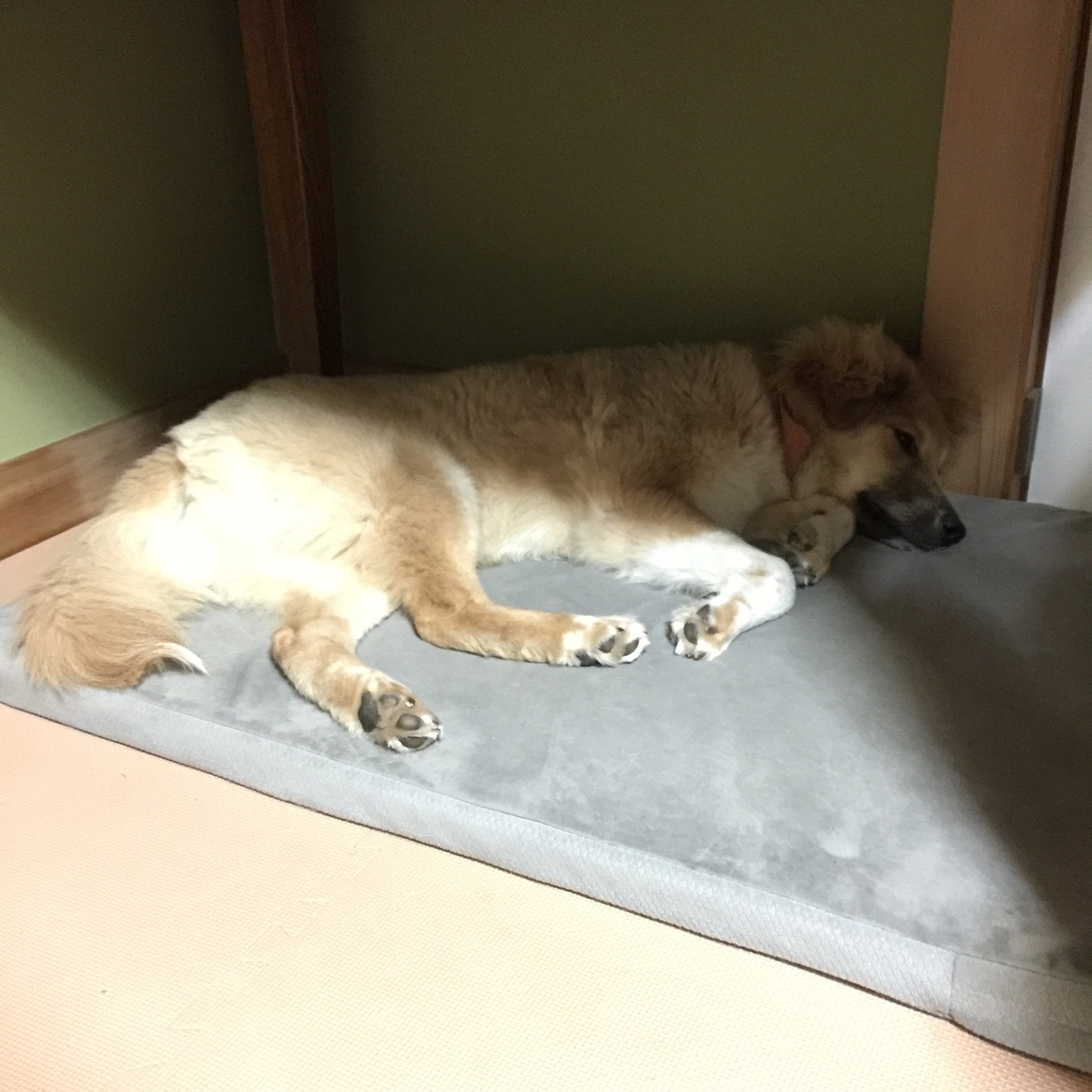 f:id:li-la:20180425235704j:image