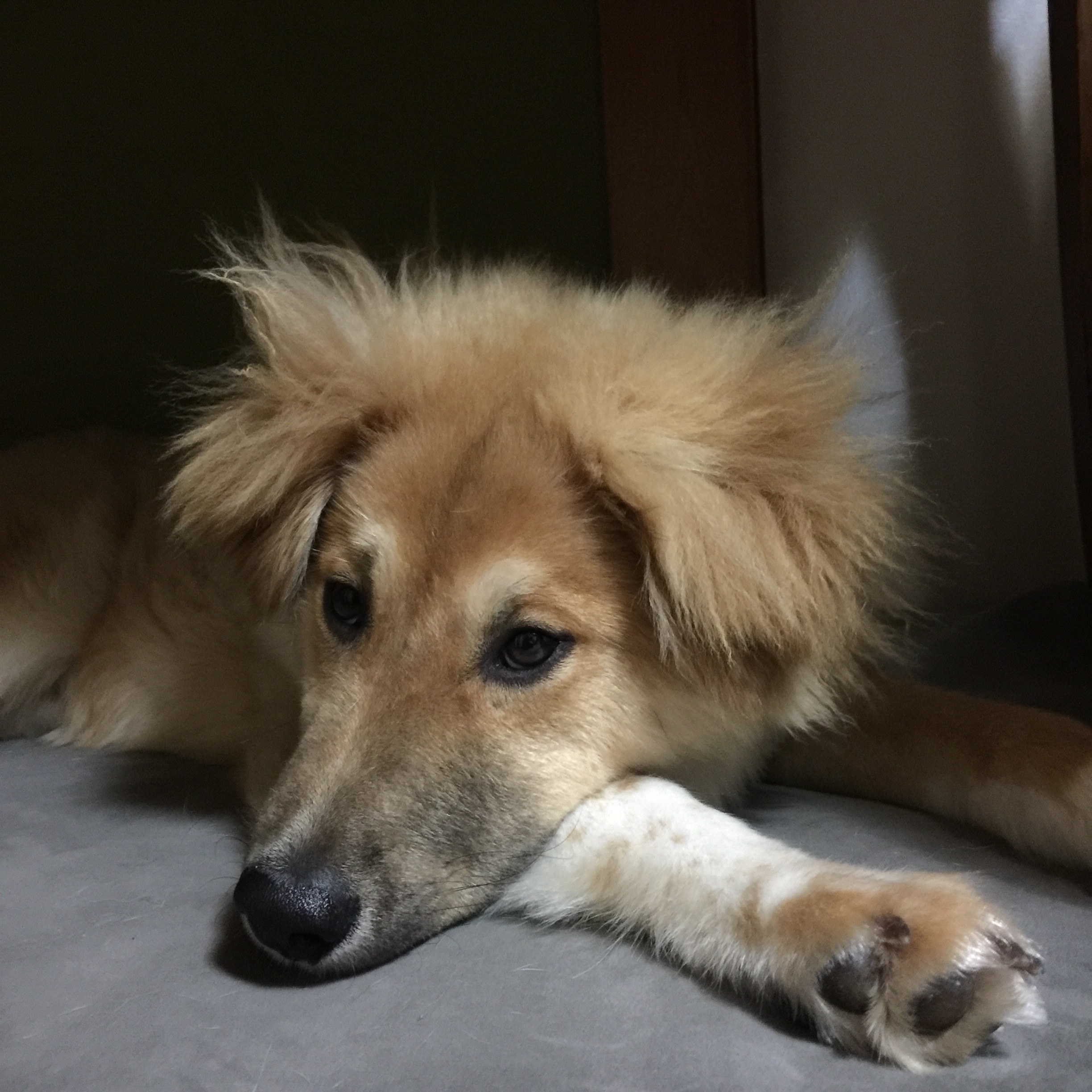 f:id:li-la:20180426000654j:image