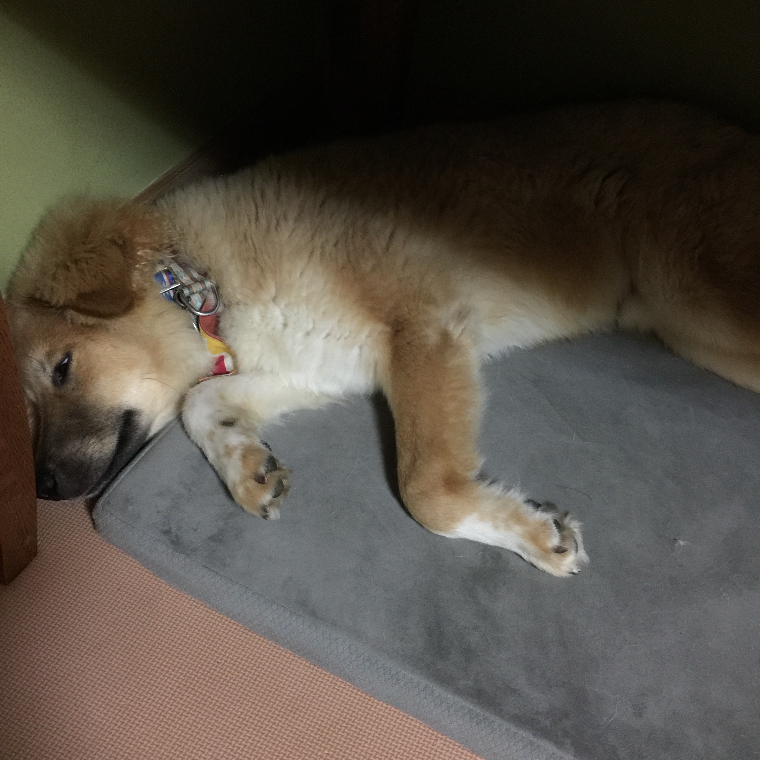 f:id:li-la:20180426001130j:image