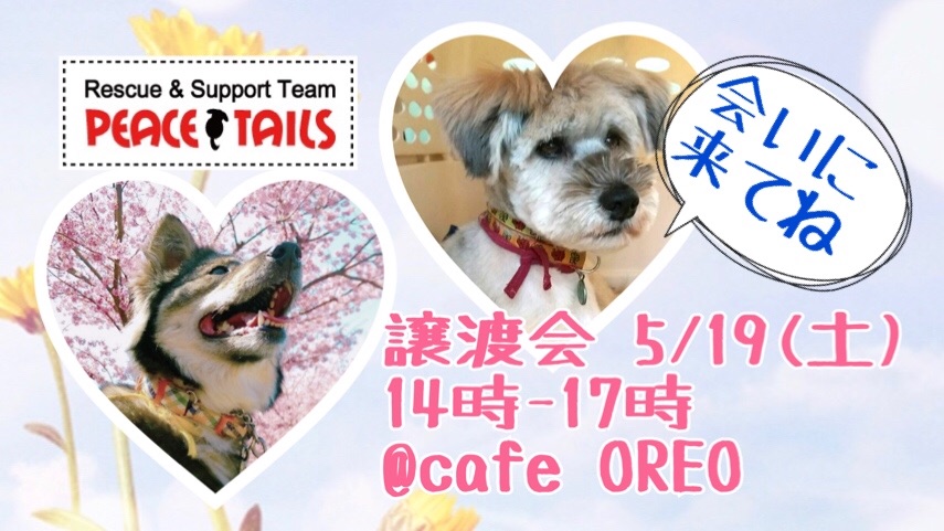 f:id:li-la:20180426001739j:image