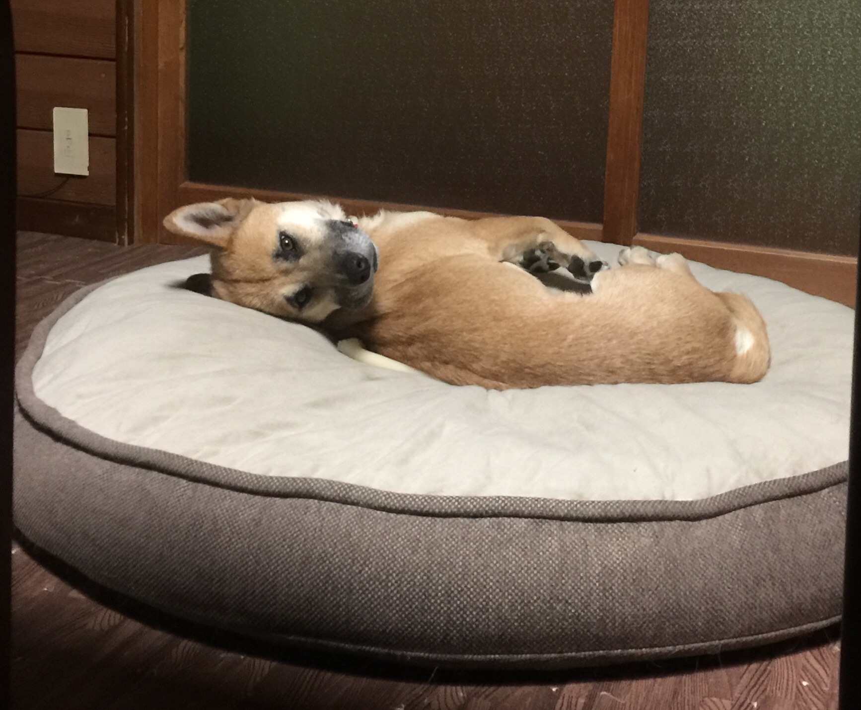 f:id:li-la:20180508105231j:image